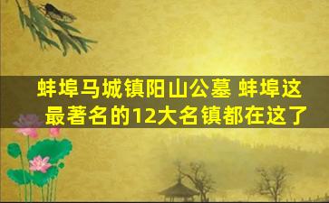 蚌埠马城镇阳山公墓 蚌埠这最著名的12大名镇都在这了